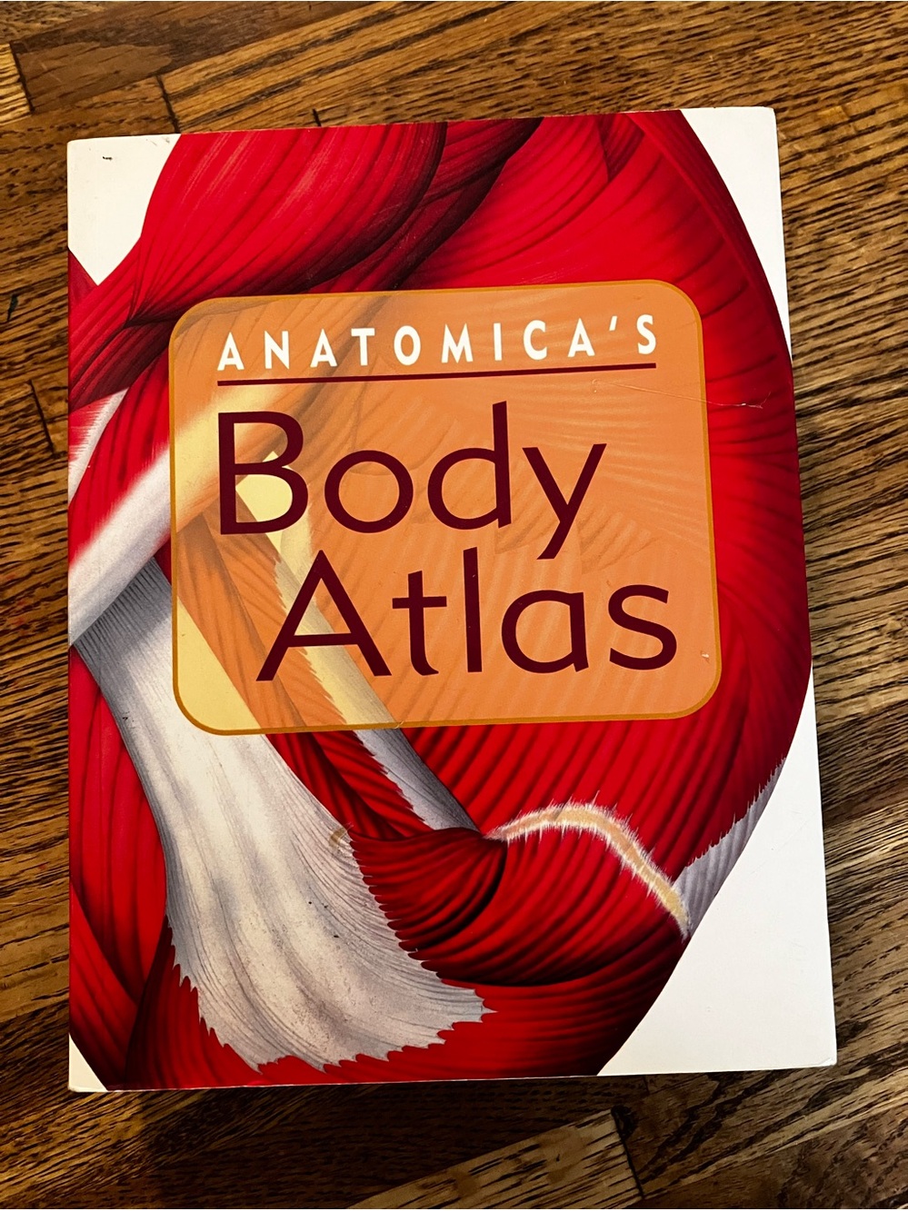 Book Anatomica’s Body Atlas